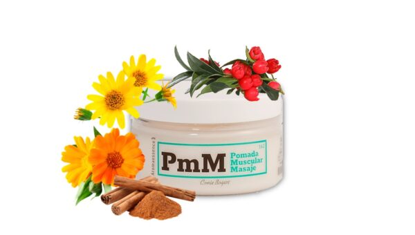 Pomada para masaje muscular con aceites esenciales de canela, caléndula, pino, mirra, Winter Green, entre otros. Envase 100 gr